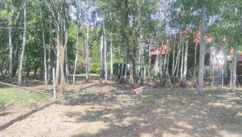 Działka Sprzedaż Borzęcin Duży Spacerowa